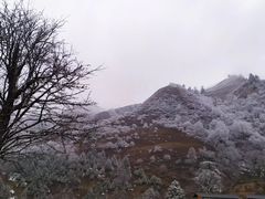 -硗碛藏寨·神木垒景区