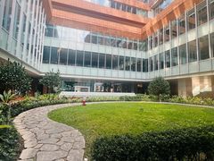 -香港大学