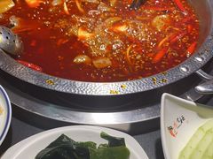 -李掌柜鲜菜火锅(移民广场店)