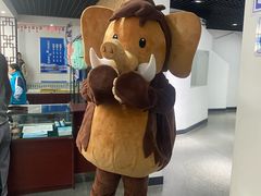 -中国第四纪冰川遗迹陈列馆