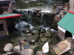-上海千禧海鸥大酒店