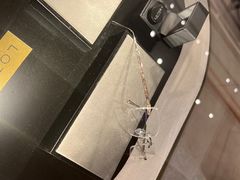 -溥仪眼镜(北京SKP店)