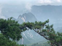 -洛阳白云山景区