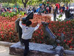 -大连森林动物园