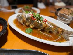 糖醋脆皮鱼-永乐饭店