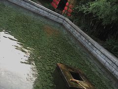 -竹泉村旅游度假区