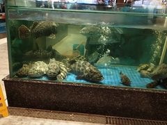 -聚福宝合苑食府(南头镇店)