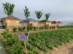 -上海崇明金茂凯悦酒店