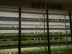 iphone_upload_pic-安利上海体验馆