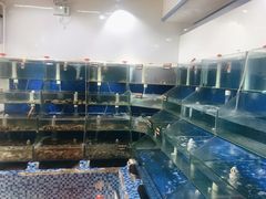 活的海鲜-雅逸居海鲜小厨