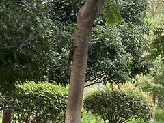 -杭州城北体育公园