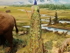 -陕西自然博物馆