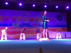 -渔家火锅·海鲜自助餐·演艺(亚龙湾天域酒店)