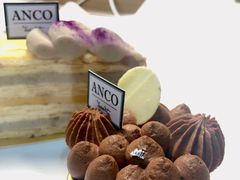 蕉香森林-ANCO(星皓广场店)