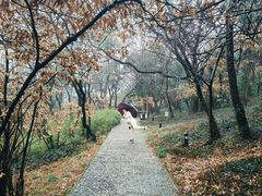 -虞山风景区