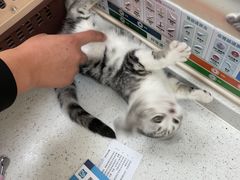 -美联众合动物医院·24h京西诊疗中心