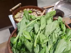 -蘑界·野生菌火锅(深业上城店)