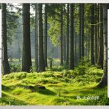 今日分享[礼花]寒冬渐进，一扇断桥铝门窗不可或缺！