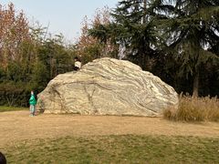 -汉长安城未央宫国家考古遗址公园