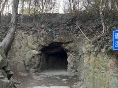 -上海佘山国家森林公园天马山园