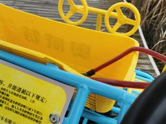 -盐城丹顶鹤湿地生态旅游区
