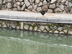 -福建土楼(南靖)景区