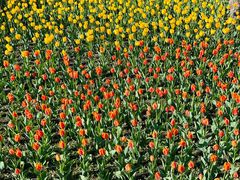 -长春公园(普阳街道)