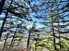 -九鼎铁刹山风景区