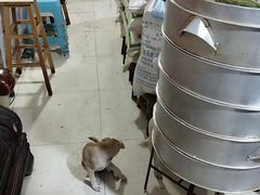 -夹江老头叶儿粑(石雁儿小区店)