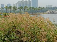 -南宁南湖公园