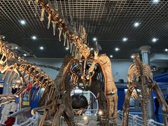 -国家自然博物馆