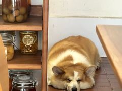 -肥朵食堂(带梦胡同店)