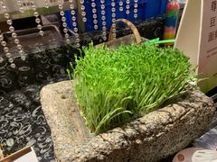 -芭菲盛宴·环球美食(解放碑英利国际店)