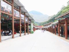 -栾川竹海野生动物园