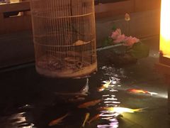 -松子料理(亮马桥店)