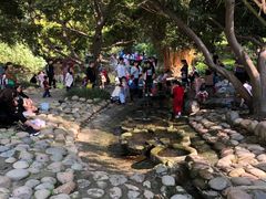 -成都市活水公园