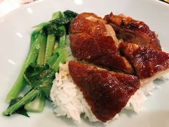 特色吊烧溪米鸭饭-禄興記香港大排档(歌斐中心店)