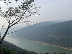 -铁山坪森林公园