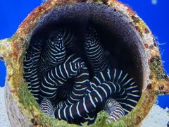 -海合安青岛极地海洋公园