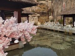 -凤翔首邑温泉度假村