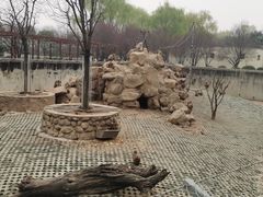 -西安秦岭野生动物园