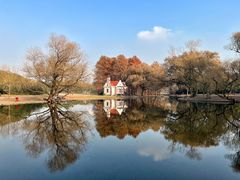 -上海共青森林公园