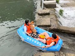 -藏龙百瀑风景区