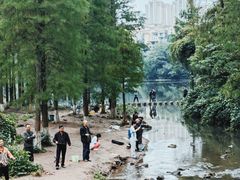 -重庆彩云湖湿地公园