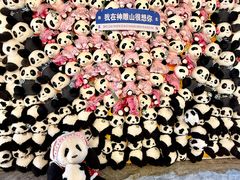 -西霞口神雕山野生动物世界