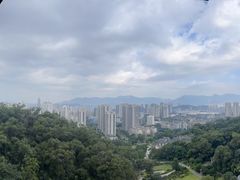-金鸡山公园
