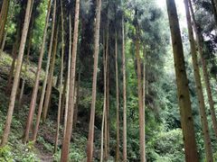 -红峡谷