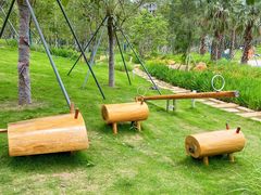 -西涌国际滨海旅游区