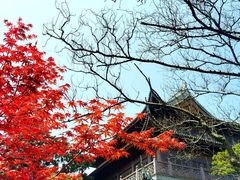 -龙华寺