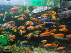 -太平洋海底世界